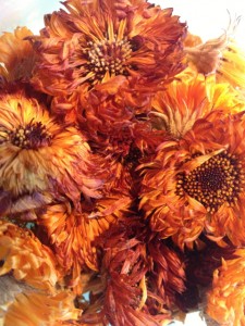 calenduladry02