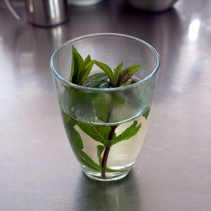 herb_tea