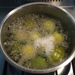 tomatillo_sauce02