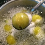 tomatillo_sauce03